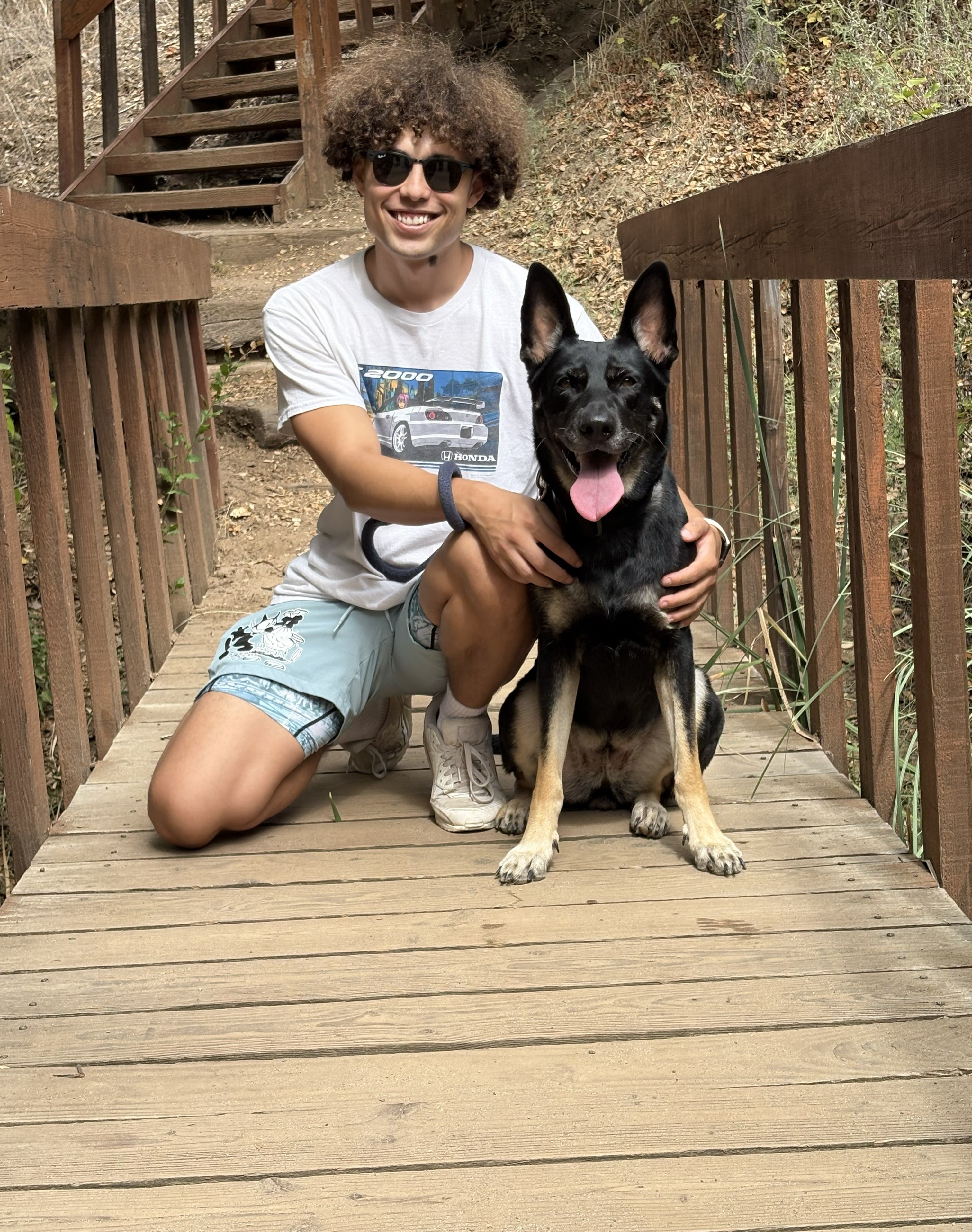 Happy dog